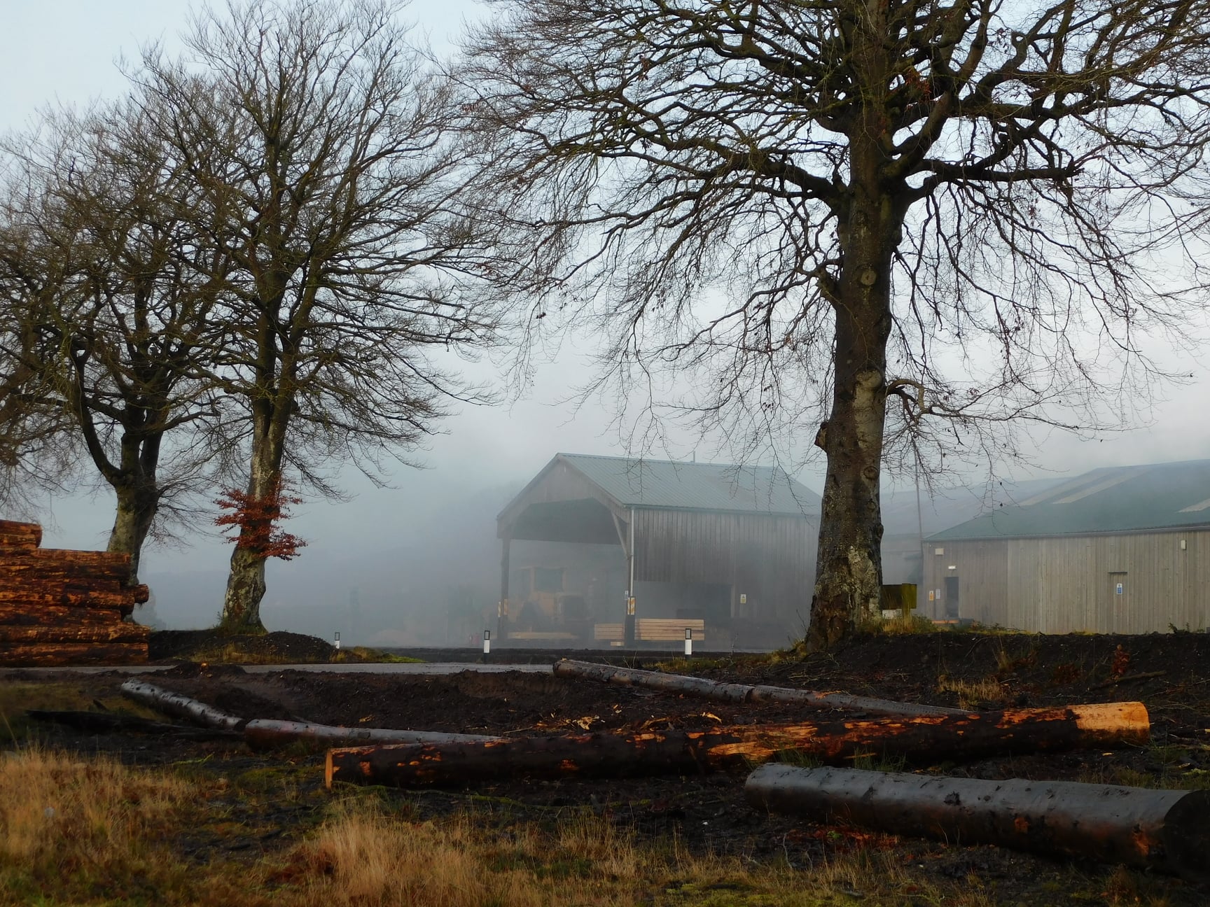 Ladywell Sawmill, Kirriemuir