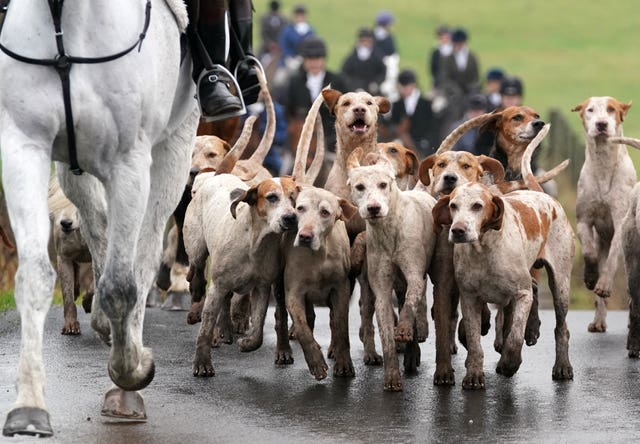 The hunt normally takes place on December 26, but due to Boxing Day falling on Sunday this year – traditionally a non-hunt day – the event went ahead on Monday (Andrew Milligan/PA)