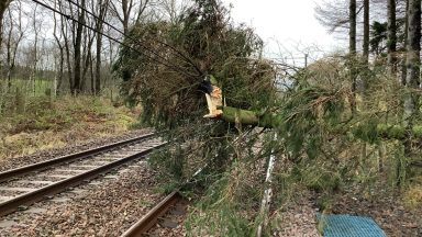 Rail services between Scotland and England disrupted over fallen tree