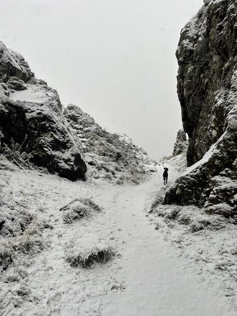 The Whangie, Kilpatrick Hills.