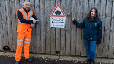 ‘Hedgehog highway’ created at railway station to solve a prickly issue