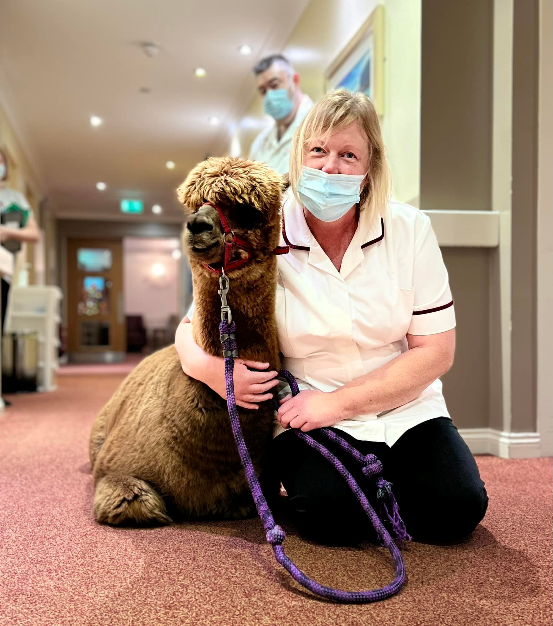 Annie the Alpaca and staff member Clare Brisbane at Parklands Care Home in Alloa.