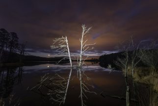 Stunning snap captured of Venus moving through space over loch