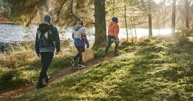 Scotland’s woodlands saves NHS £26m each year, says study