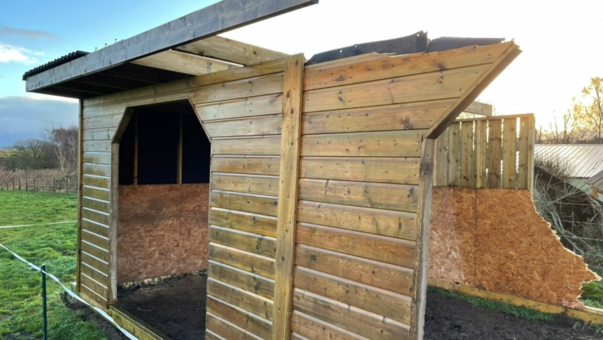 Storm Arwen: The bad weather destroyed three shelters.