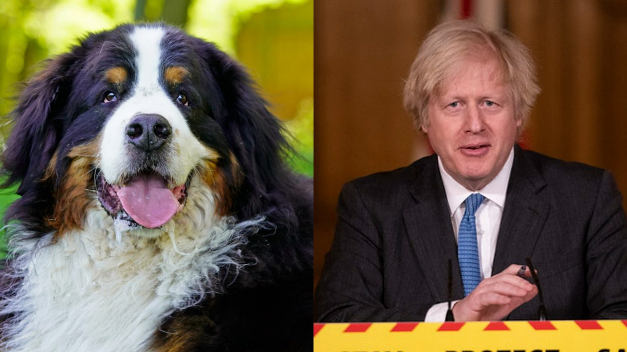 ‘Prime Minister does not refer to himself as big dog’ – No 10