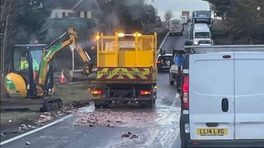 Hundreds of fish spill out onto busy road sparking traffic disruption