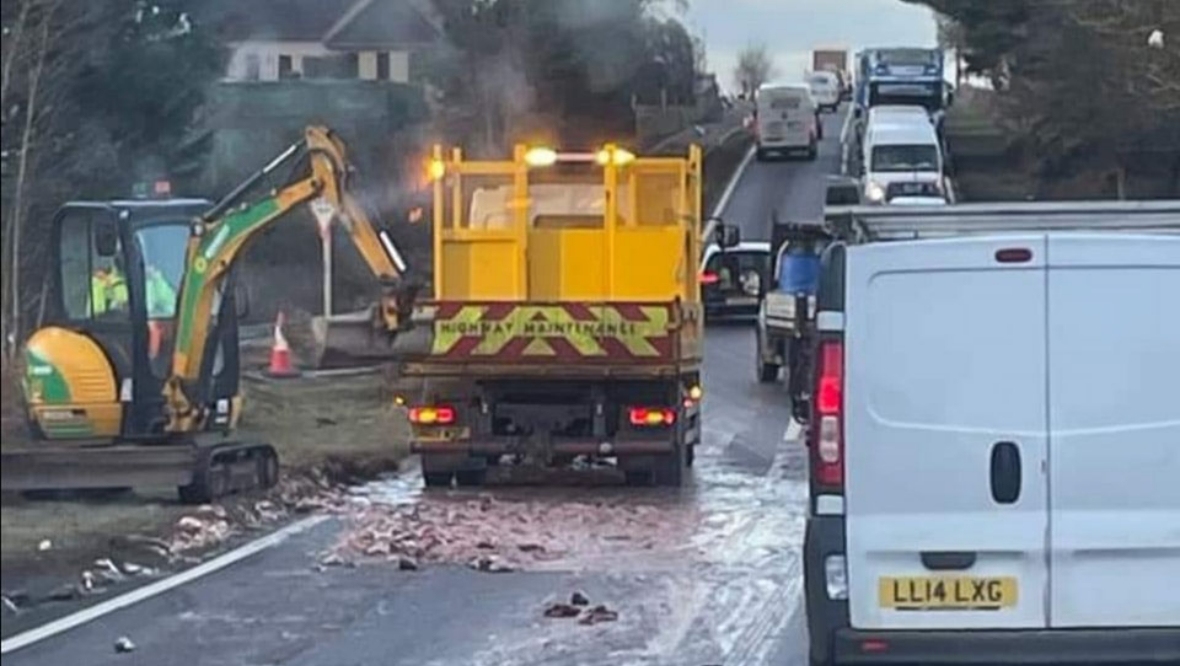 Hundreds of fish spill out onto busy road sparking traffic disruption