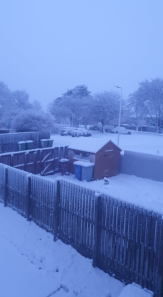 Snowfall: Gardens covered in South Lanarkshire.