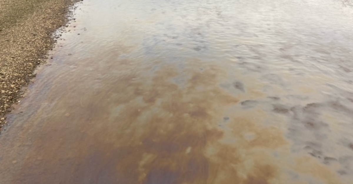 A suspected pollution event on the River Esk, Musselburgh.