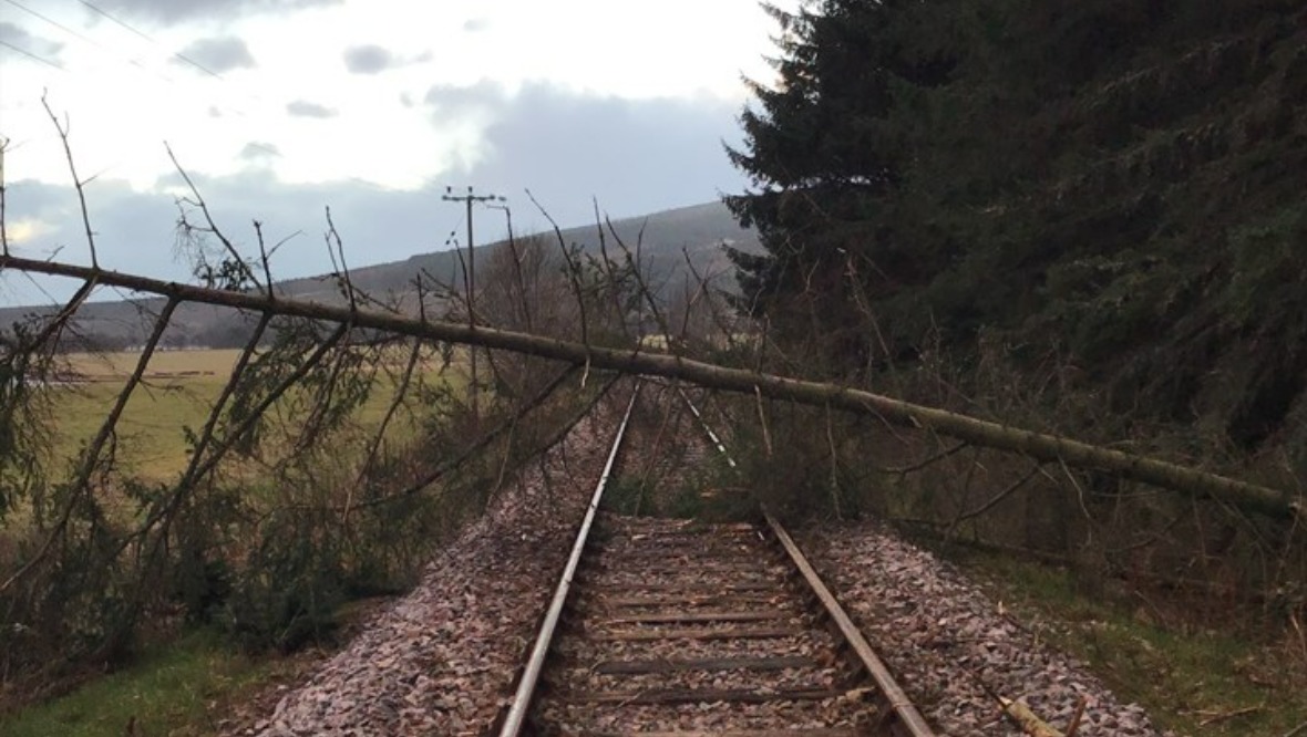  Network Rail Scotland: A tree on a railway line. 