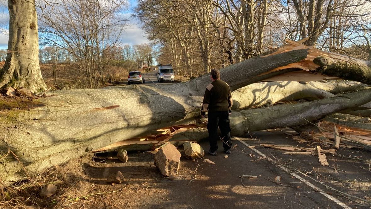 Steps taken to ensure Scotland is better prepared for wild weather after severe storms like Arwen