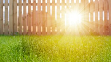 Neighbours told to tear down fences that added land to their gardens