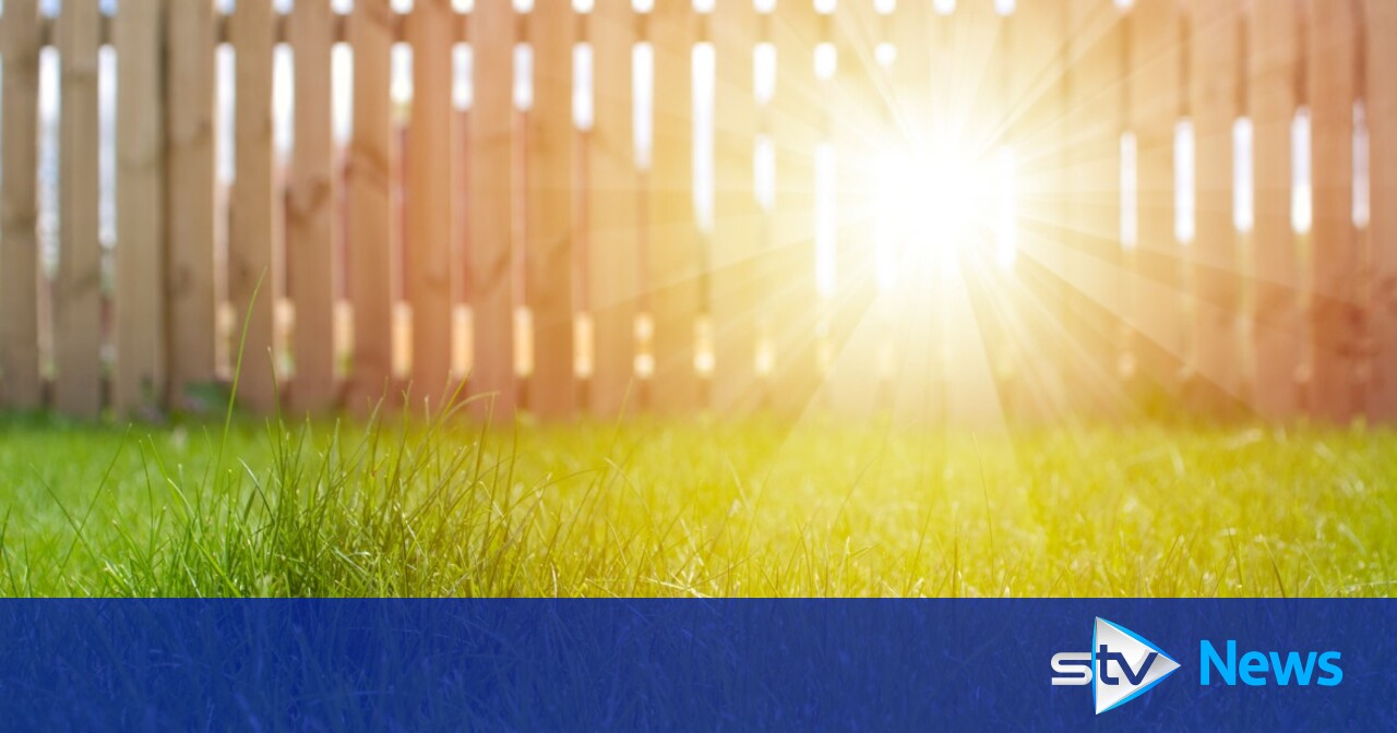 Legal Height Of Garden Fence Scotland Fasci Garden