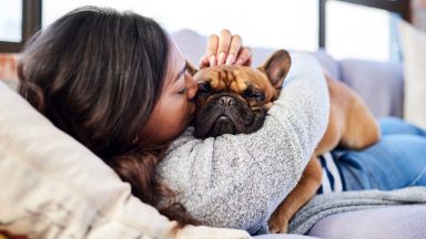 Energy firm sorry for telling customers to ‘cuddle pets’ to keep warm