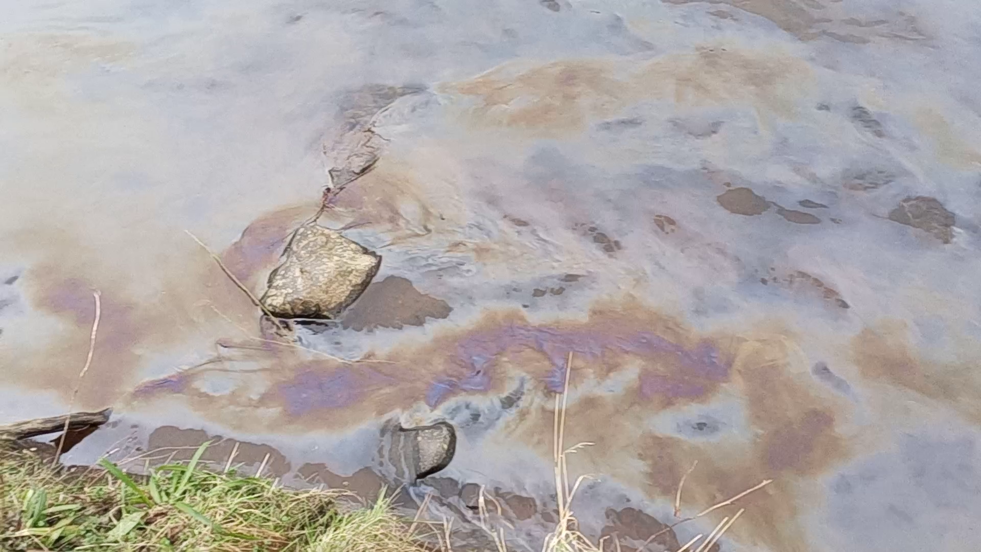 Oily slick on the River Esk.