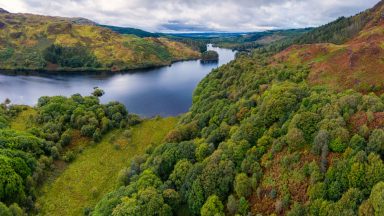 Stock image of loch and woodland in Dumfries and Galloway.