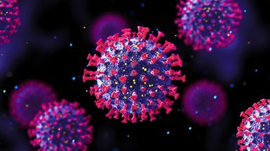 Coronavirus deaths in Scotland rise to 51 in weekly update