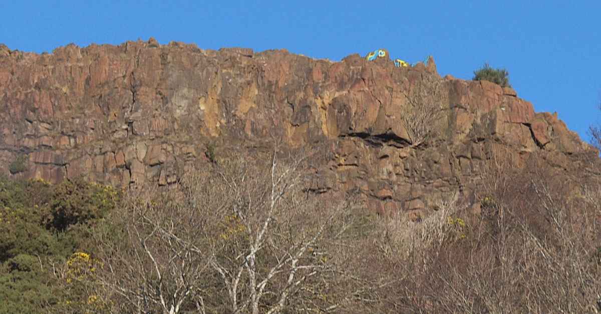 Hana and her owners were out walking at the Crags near Arthur's Seat in Edinburgh.