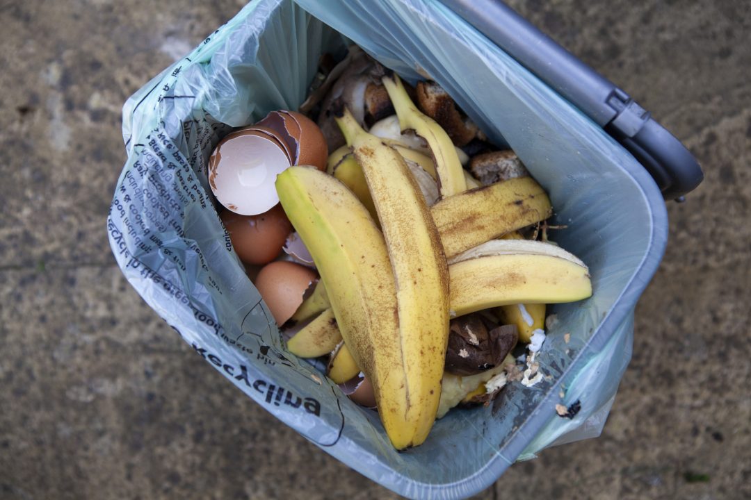 Edinburgh refuse workers accused of ‘launching’ food recycling bins to be investigated by council