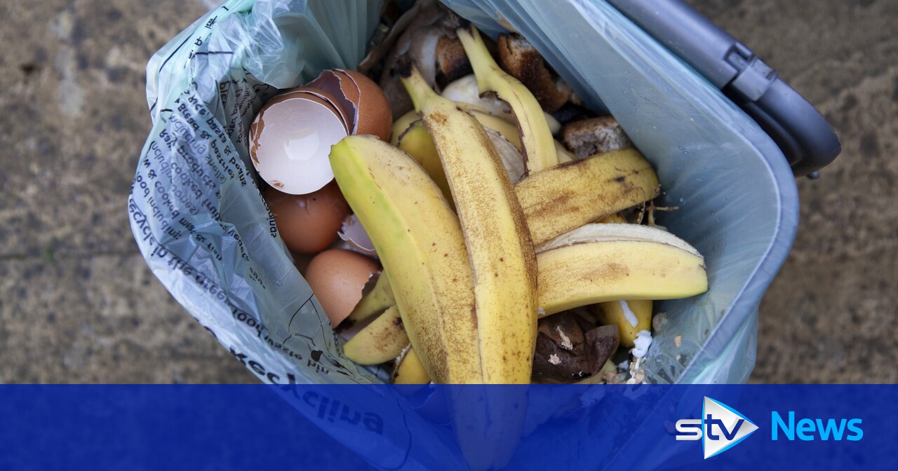 Food waste bins in Glasgow 'not collected for two years' STV News
