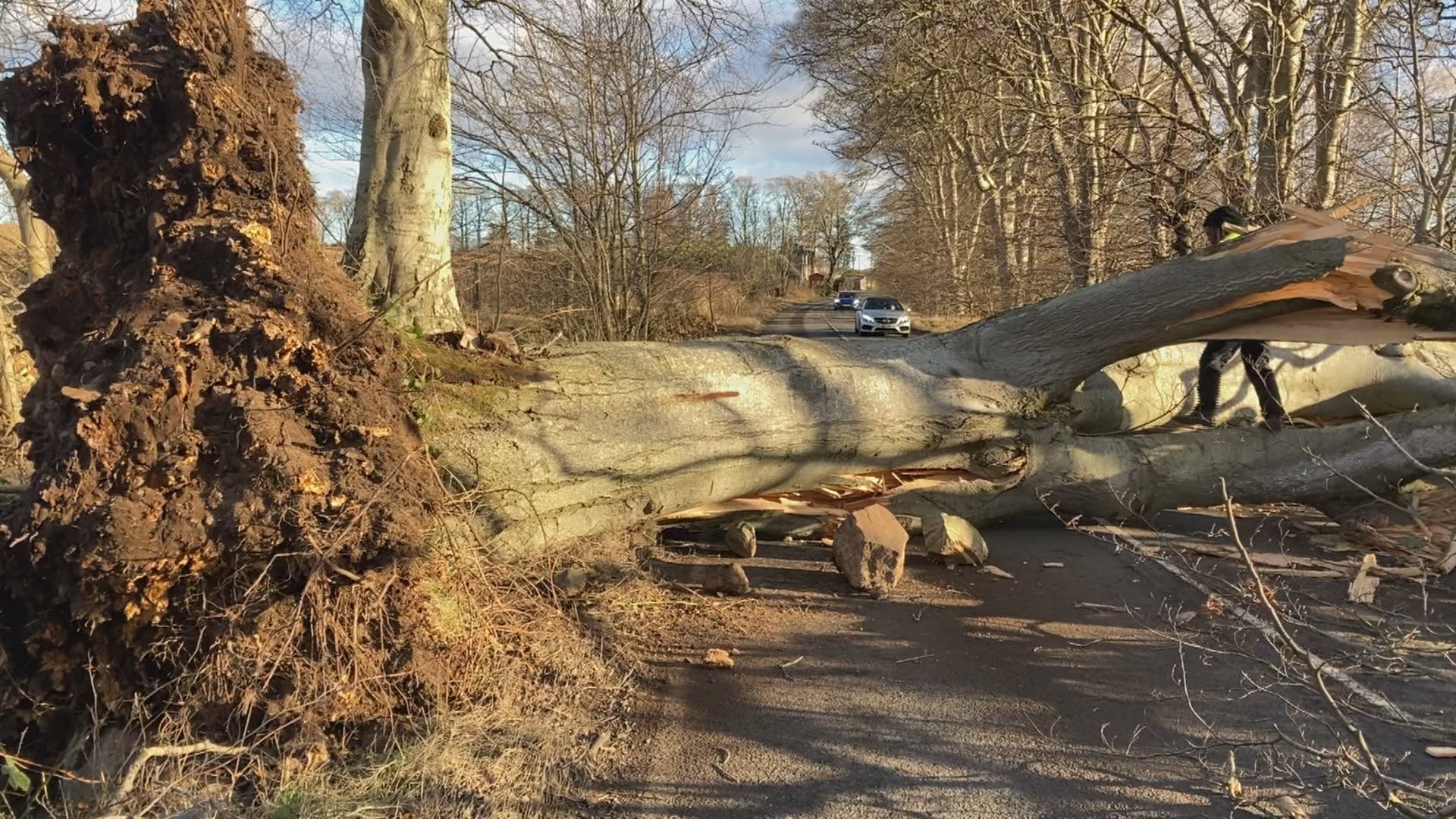 Timber: Storm Malik battered parts of Scotland at the end of last month.