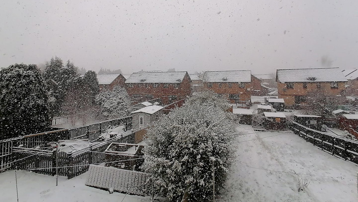 Snowy garden in Motherwell.