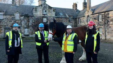 Clydesdale horses to return to park after rundown stables’ £13m revamp