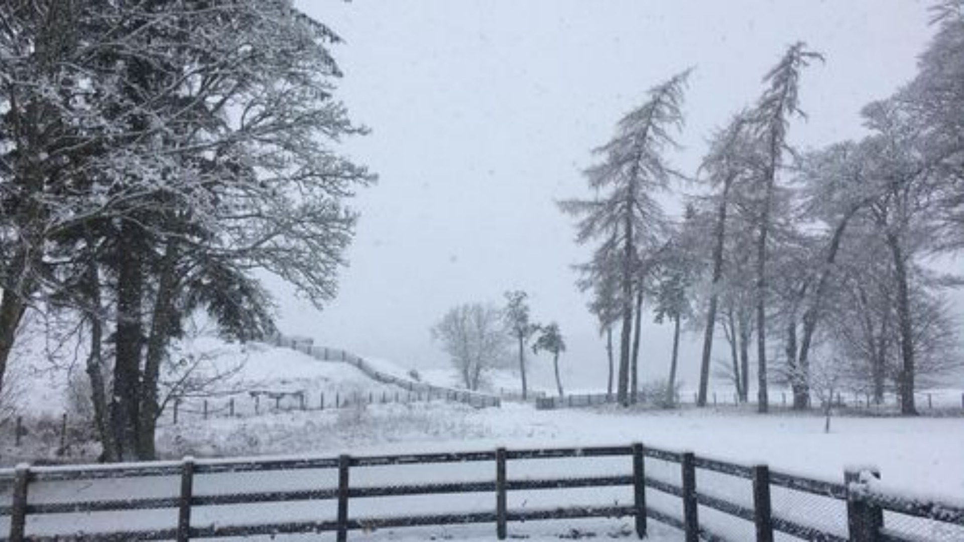 Snow in Glenesk, Angus (Debbie Farquharson/STV News)
