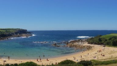 British man Simon Nellist killed in shark attack while swimming in Sydney