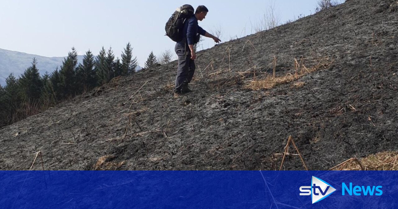 Ben Lomond fire Firefighters extinguish mountain blaze as National