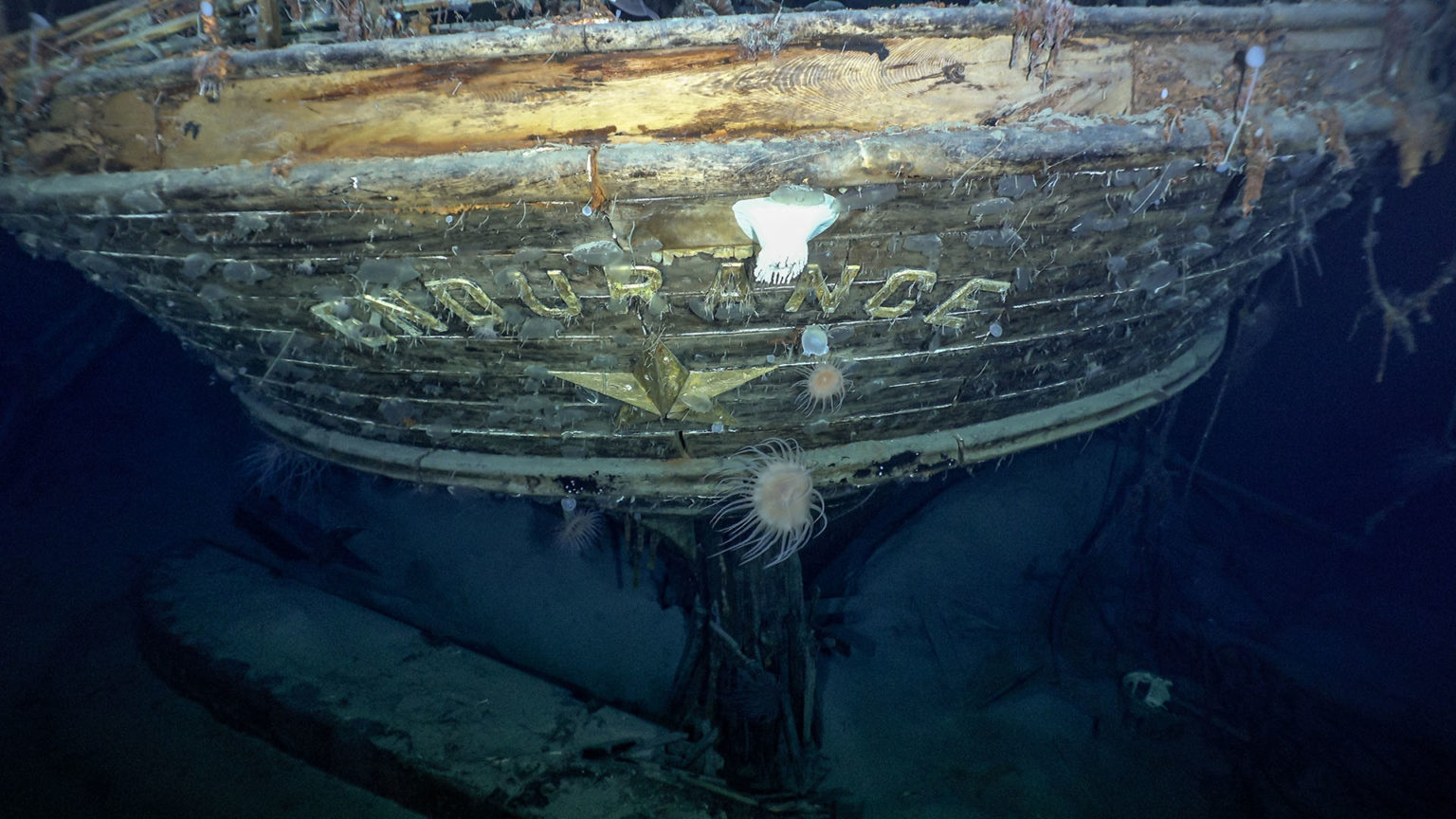 The stern of the Endurance with the name and emblematic polestar. 