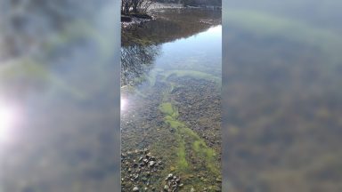 Warning issued after toxic blue-green algae identified at Milarrochy Bay, Loch Lomond