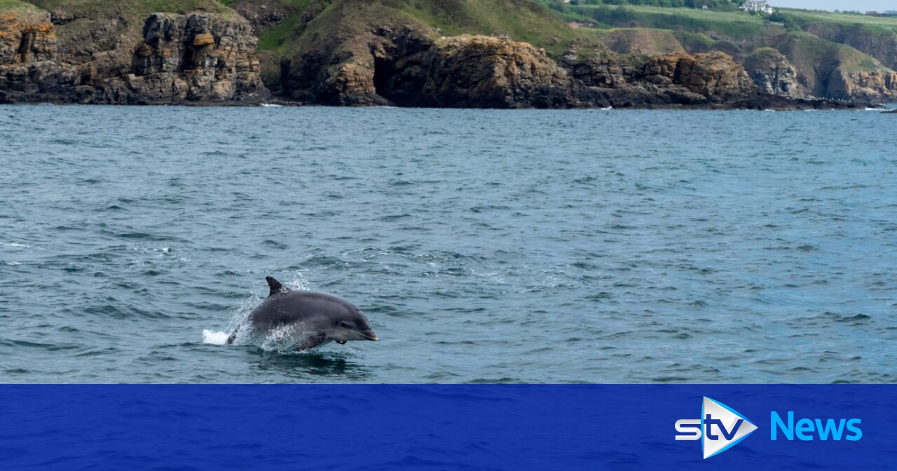 Ministers urged to 'stop delaying' marine protections as thousands sign petition