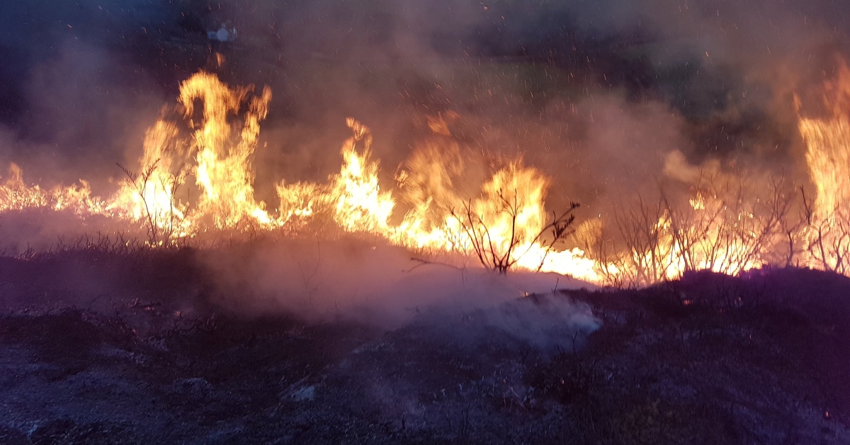 Firefighters tackle ‘ferocious’ wildfire for more than five hours in Sutherland in the Highlands