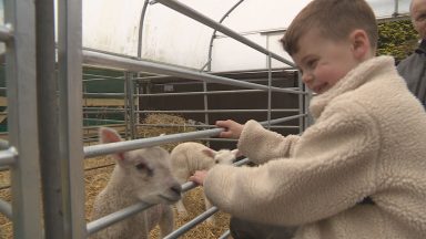 Farm welcomes crowds for first full capacity Easter since lockdown