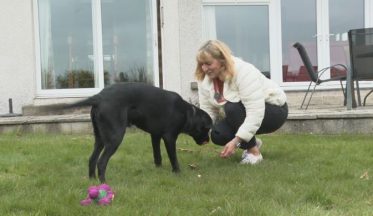 Volunteers wanted to help train puppies for Guide Dogs Scotland