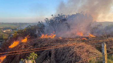 Smoke billows from farm as firefighters tackle wildfire blaze