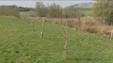 Trees to be planted at schools in Loch Lomond area to teach children about climate change