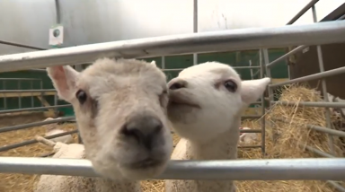 As Easter holidays arrive, Scotland’s attractions welcome back visitors