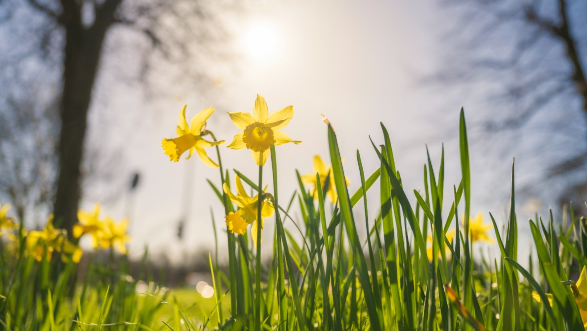 Temperatures set to rise across Scotland ahead of Easter weekend