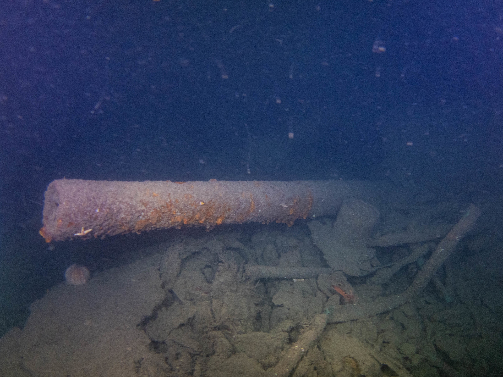 The gun barrel of HMS Jason