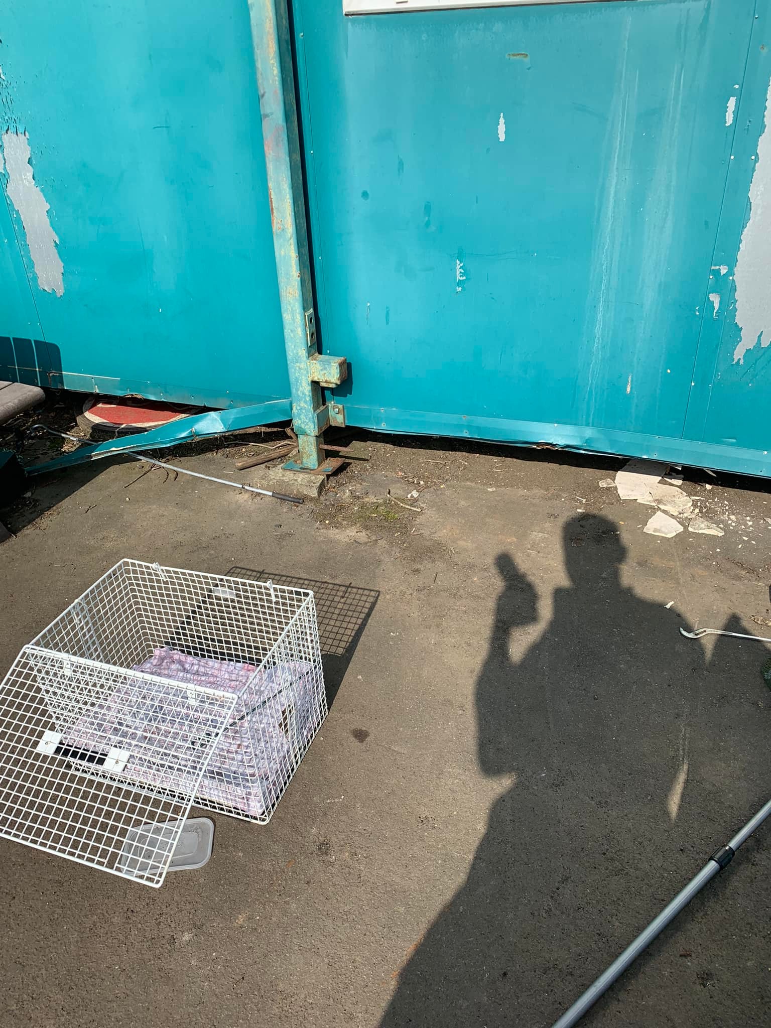 Cubs were left starving under portacabin. 