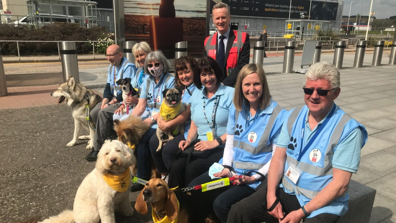 Therapy dogs make airport return to help passengers with flight nerves