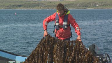 Seaweed academy opens in Oban to explore industry backed by Amazon founder Jeff Bezos