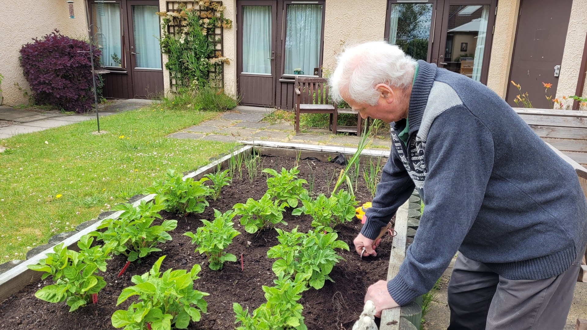 Granda tends to his vegetable patch at the care home.