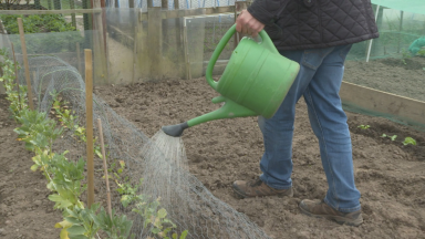 North east residents waiting over a decade for allotments