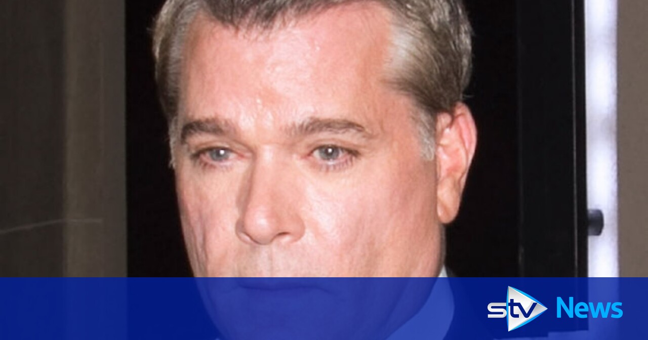 Ray Liotta was the most beautiful person, his fiancee says