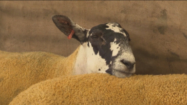 Farmers across Scotland feeling pressures like never before amid spiralling costs