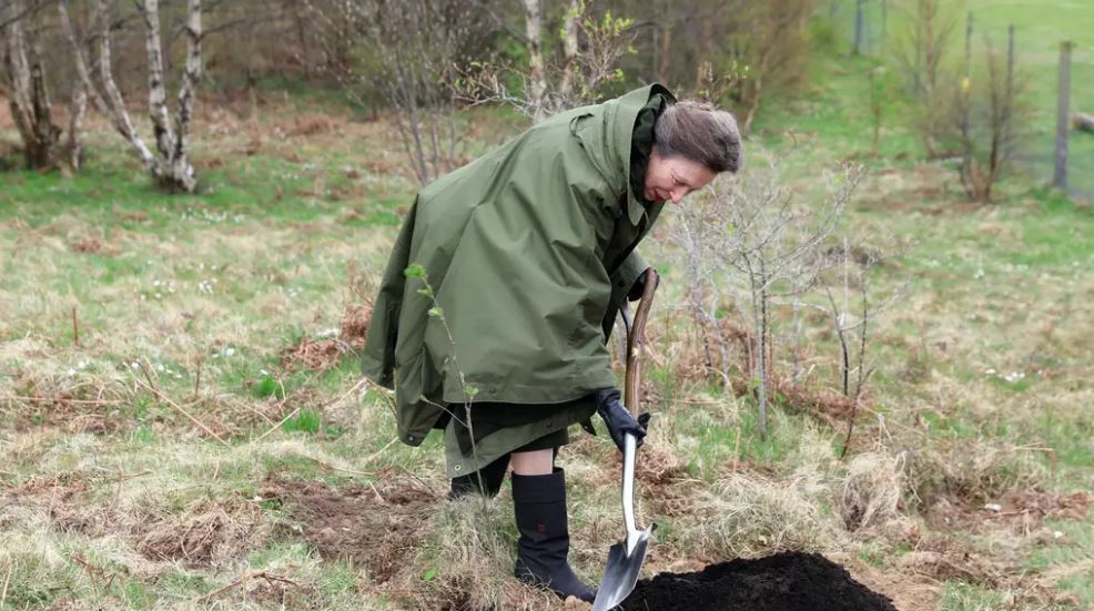 Princess Royal plants tree on visit to planned wildlife discovery centre